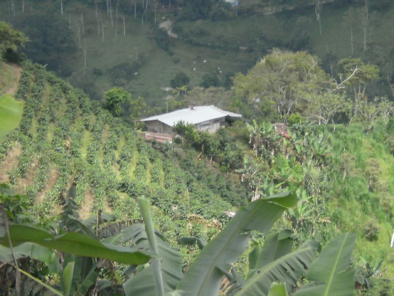 Working Farm, 168 Ac, Sugar Cane : La Suiza De Turrialba : Costa Rica