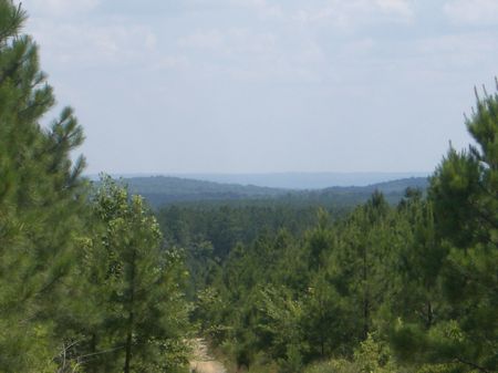 1,242 Acres Kingston Tract : Kingston : Bartow County : Georgia