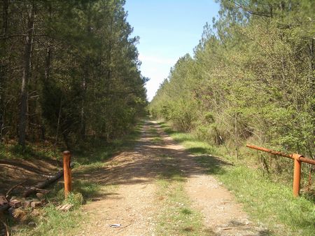 275 Acres Near Adairsville : Adairsville : Bartow County : Georgia