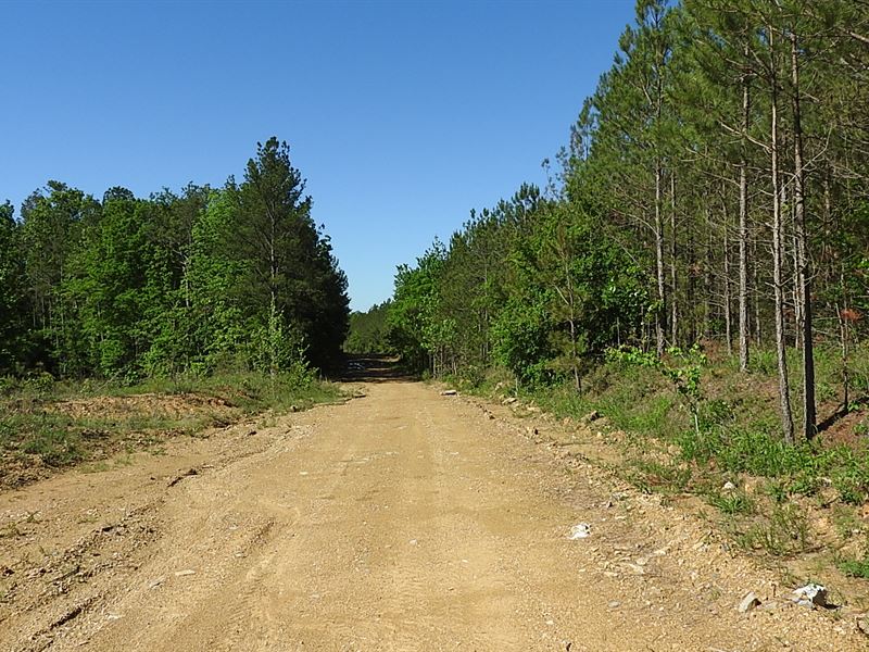 1023 Acres Evergreen Road : Resaca : Gordon County : Georgia