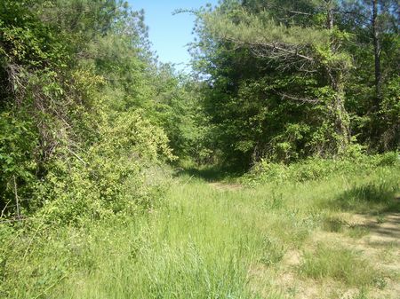 148 Acres On Baxter Road : Resaca : Gordon County : Georgia