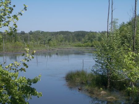 398 Ac - On State Route 136 - 9637 : Resaca : Gordon County : Georgia