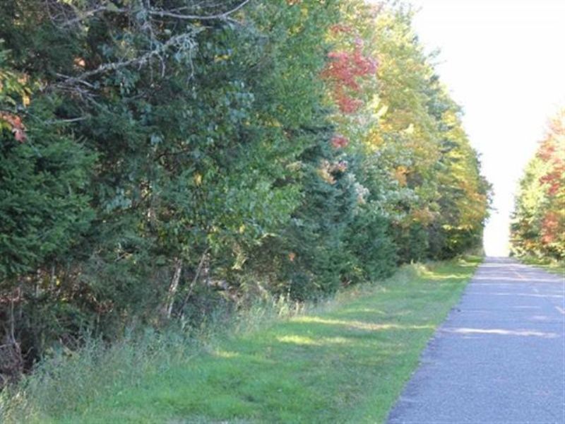 Tbd Old Us 2 West Mls 1076071 : Watersmeet : Gogebic County : Michigan
