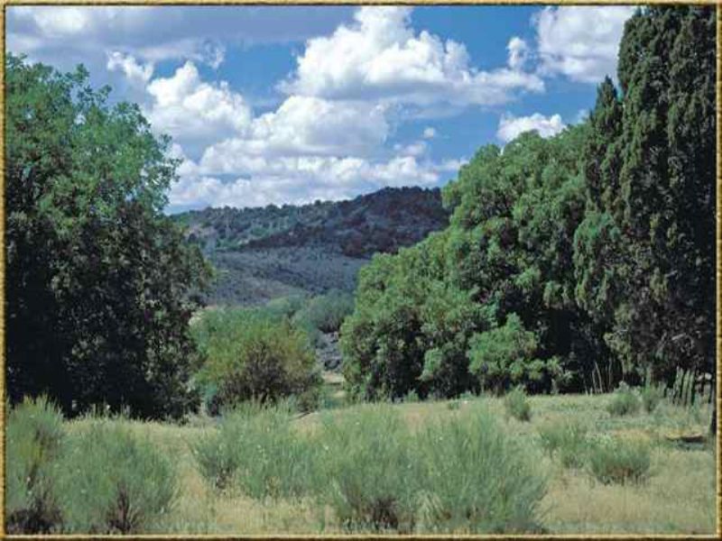 Woodland Valley Ranch : Saint Johns : Apache County : Arizona