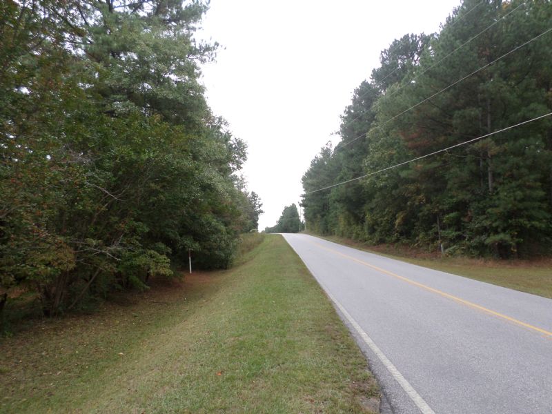 46 Acres : Monroe : Walton County : Georgia