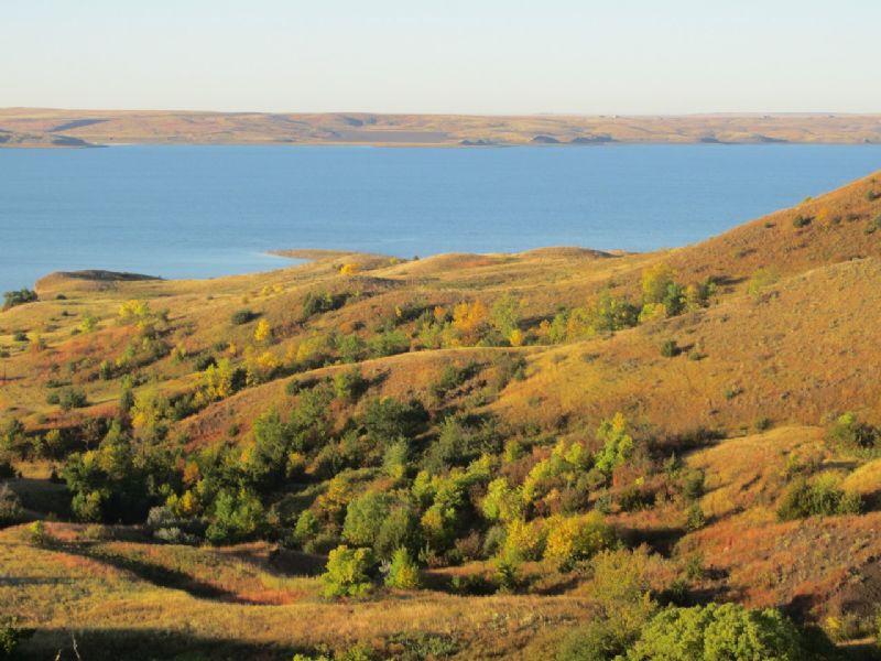 Lake Oahe-peoria Flats Land Auction : Pierre : Hughes County : South Dakota