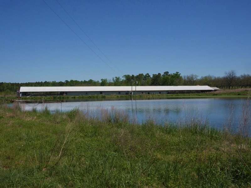 90+/- Acres Banks Swine Farm : Statesboro : Bulloch County : Georgia