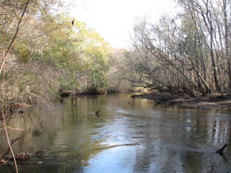Great Ogeechee River Preserve : Savannah : Chatham County : Georgia