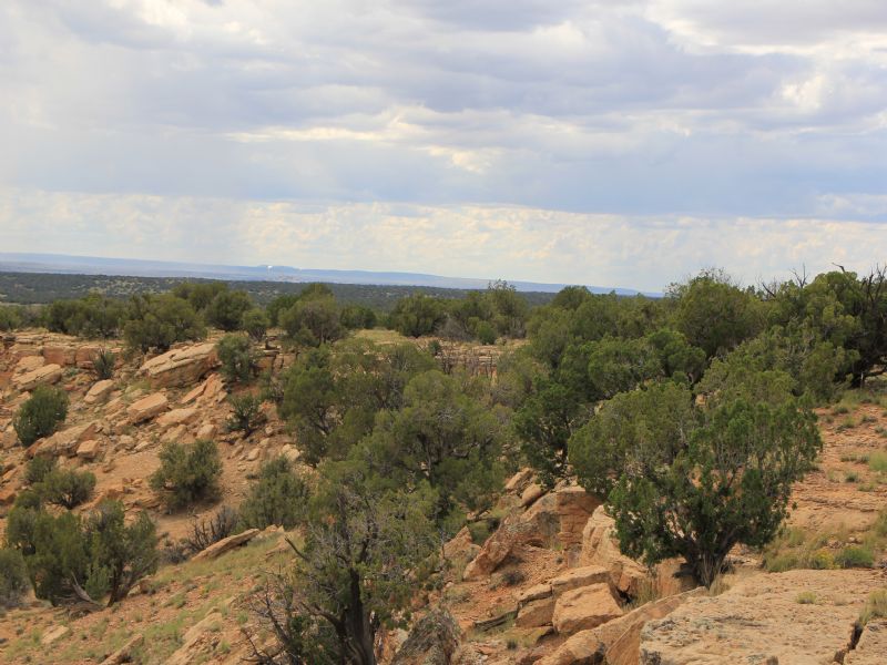 Arizona Ranch Steal $245/Mo : Saint Johns : Apache County : Arizona