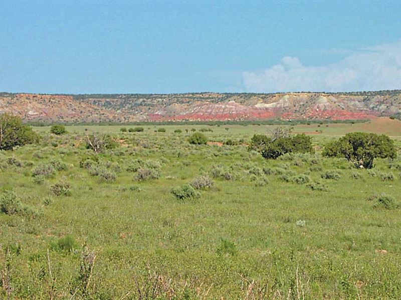 AZ 37 Acre Self Sufficiency Ranch : Saint Johns : Apache County : Arizona