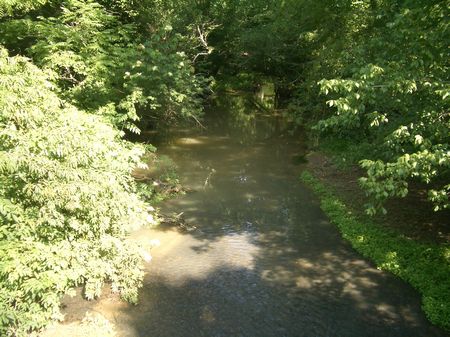 95 Ac Great Creek Frontage 9606-1 : Rydal : Gordon County : Georgia