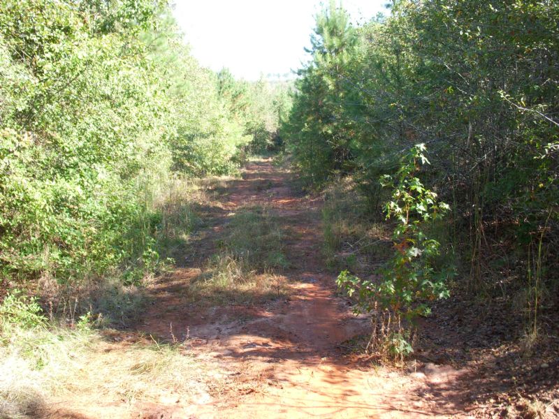 Longview Tract : Irwinton : Wilkinson County : Georgia