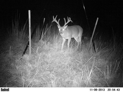 Buck Creek Ranch : Ada : Pontotoc County : Oklahoma