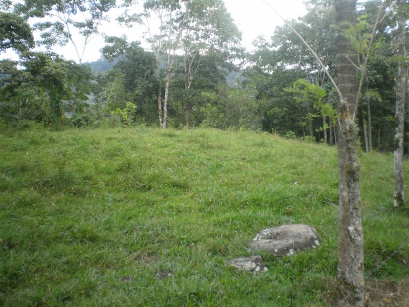 57 Ac. Riverfront Cattle Farm : Tucurrique Cartago : Costa Rica