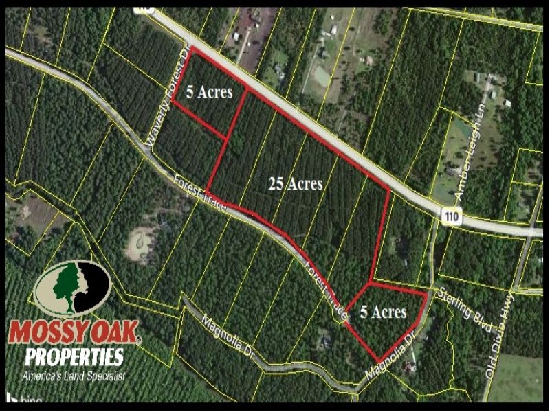 Owner Financed Land for Sale : Waverly : Camden County : Georgia
