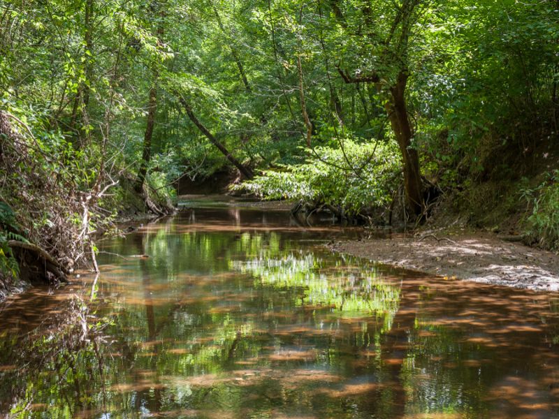 Wolf Island Creek Farm- South : Reidsville : Rockingham County : North Carolina