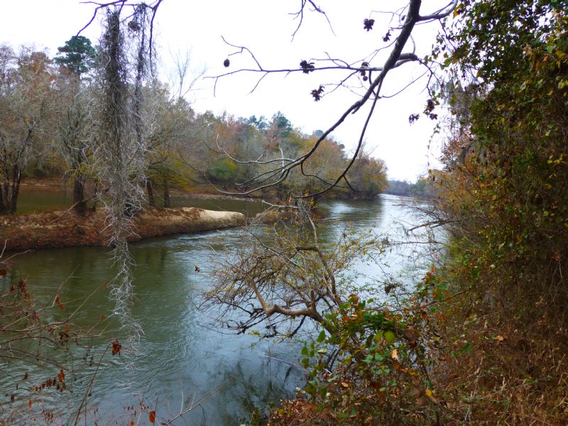 1094 Acres On Oconee River : Toomsboro : Wilkinson County : Georgia