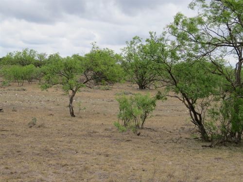 Hunting / River Ranch For Sale : Menard : Texas
