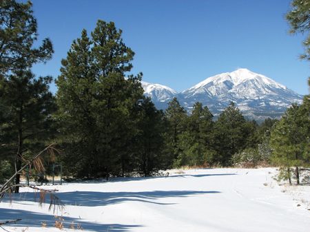 Whispering Pines Ranch : Aguilar : Las Animas County : Colorado