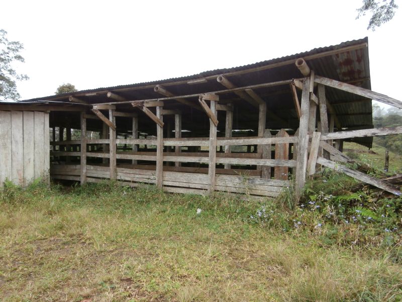 Remote 40 Ac Cattle Farm, River : Tuciurrique De Cartago : Costa Rica