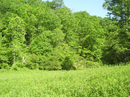 Roberts Tract : Island City : Owsley County : Kentucky