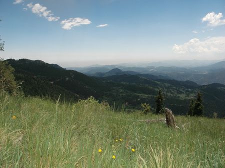 Ranch At Golden Forrest : Golden : Gilpin County : Colorado