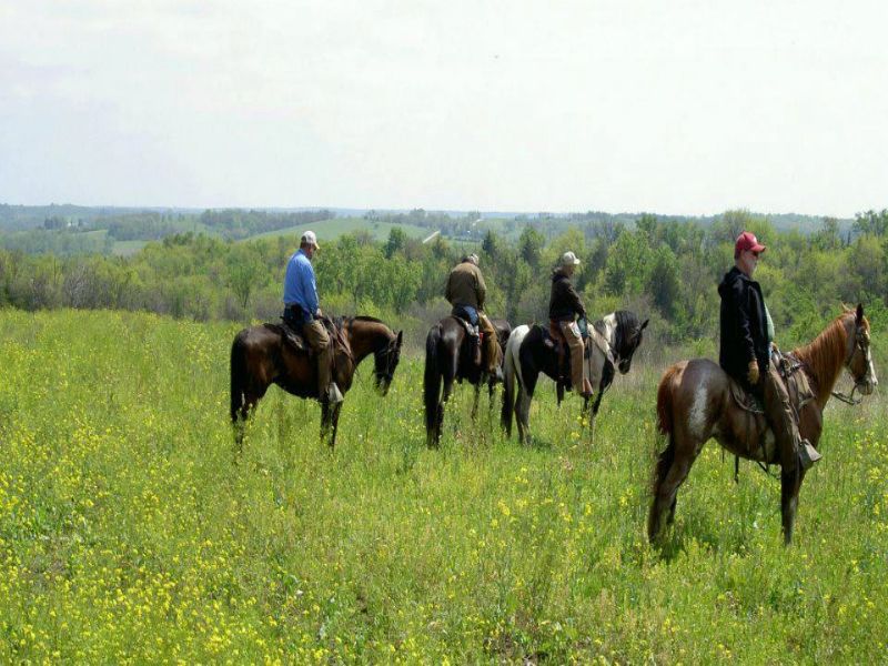 Bird Dog Ranch, Ranch Auction in Iowa, #71480 : RANCHFLIP