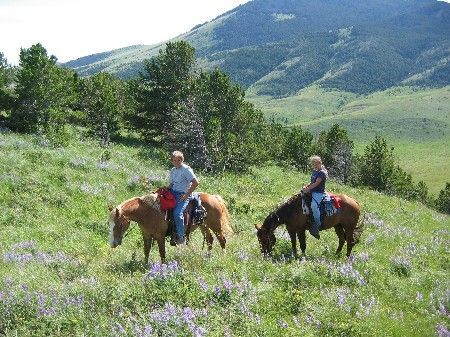 Sweet Grass Hills Ranch : Chester : Liberty County : Montana