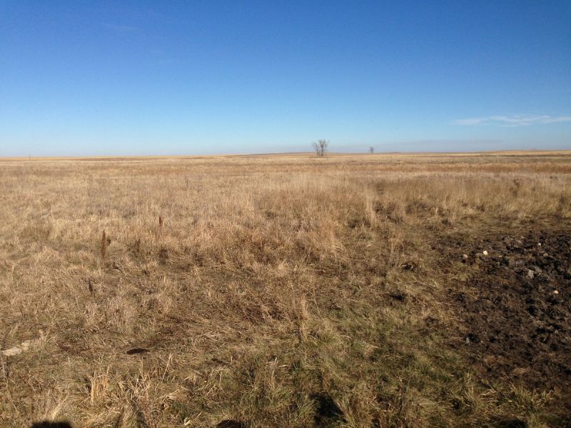 Farm Hunting Land Auction, Ranch Auction in South Dakota, 71821