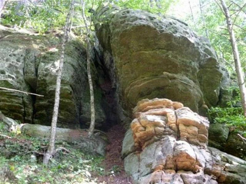 175+/- Acres with Amazing Features : Mauston : Juneau County : Wisconsin