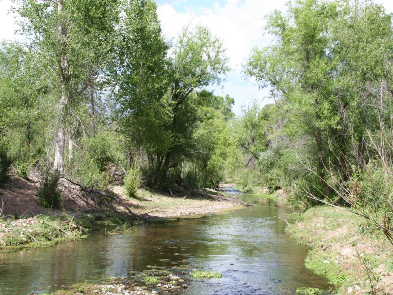 Sonoita Creek Ranch Arizona Estate : Rio Rico : Santa Cruz County : Arizona