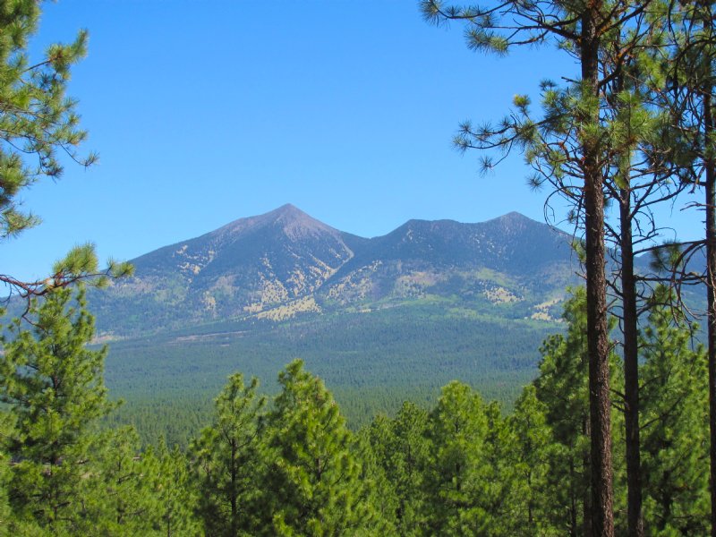 Flagstaff Arizona Forested Estates : Flagstaff : Coconino County : Arizona