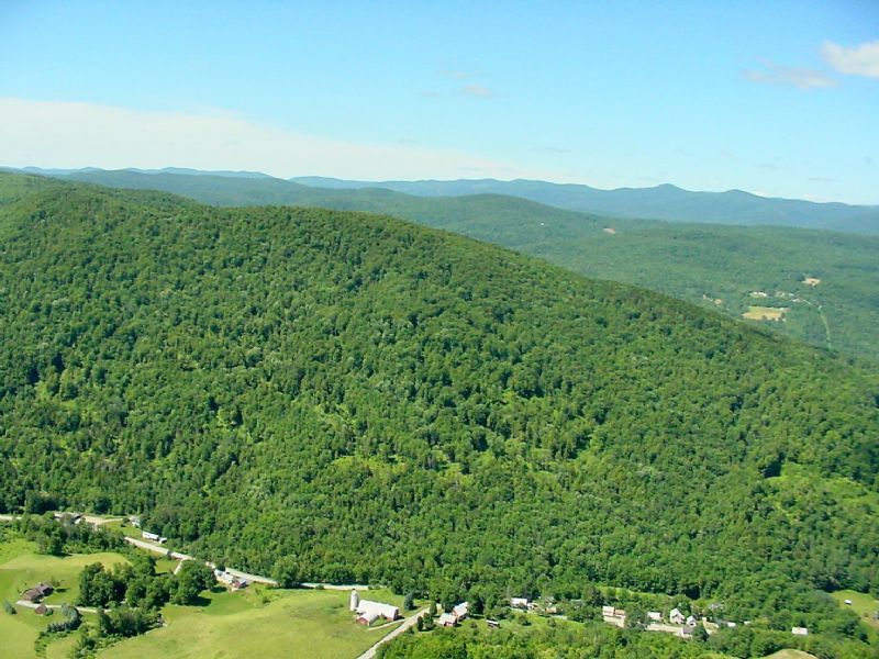 Shaw Mountain Forest : Northfield : Washington County : Vermont