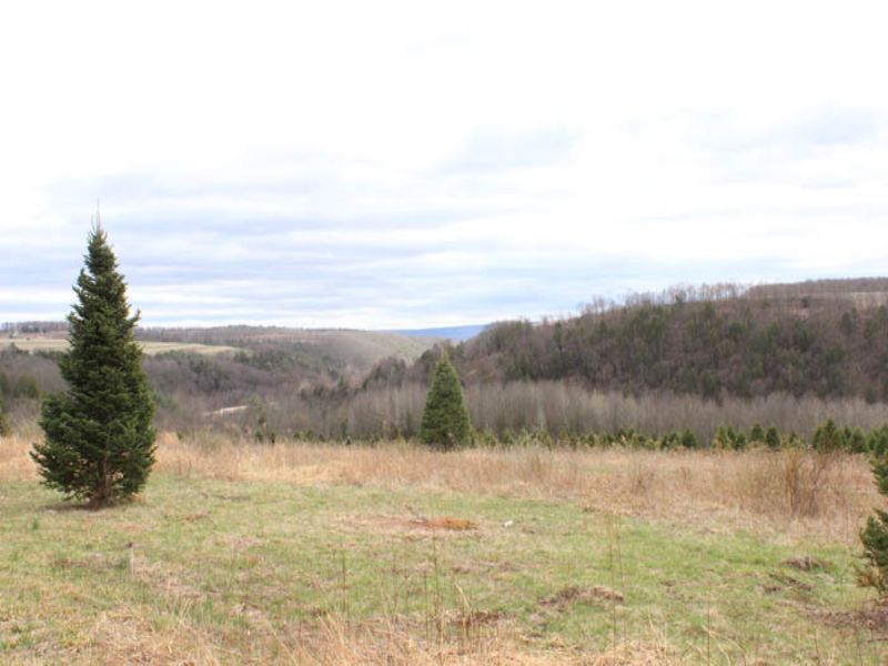 65 +/- Acres Of Land : Bloomsburg : Columbia County : Pennsylvania