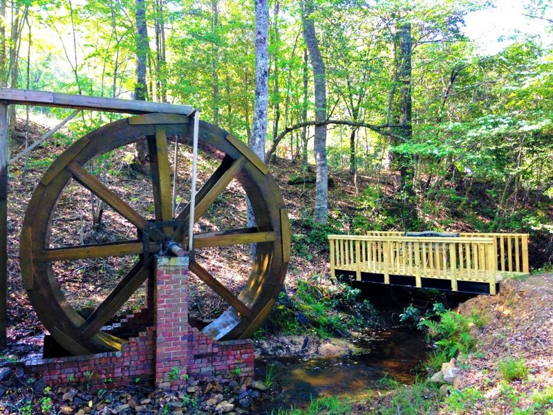 Waterwheel Farm : Mitchell : Glascock County : Georgia