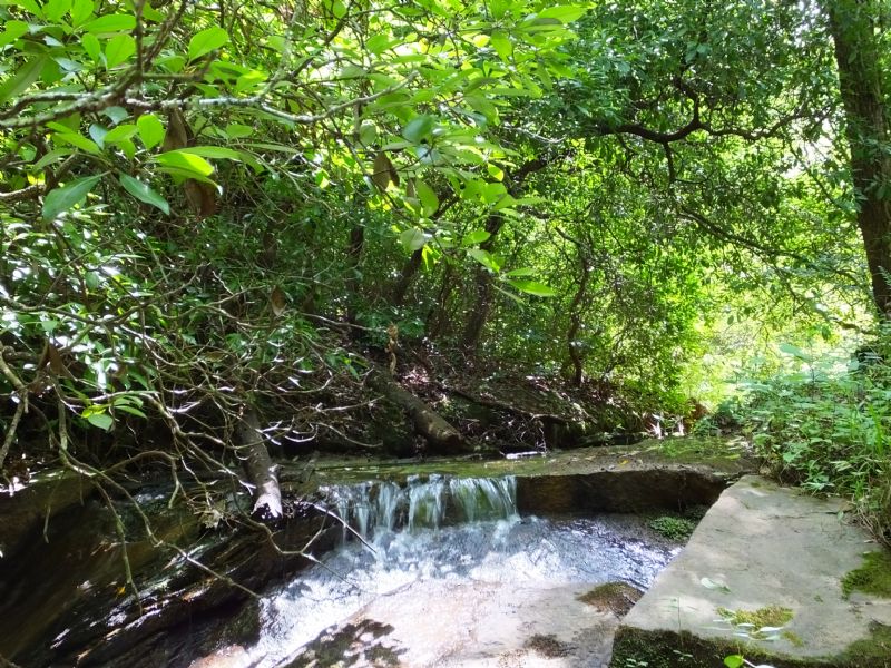 Smith Property : Salem : Oconee County : South Carolina