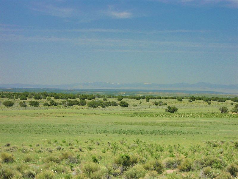 38 Acre River Valley Ranch $216 MO : Snowflake : Apache County : Arizona