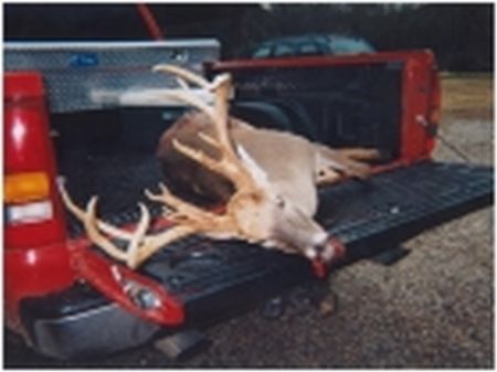 115 Acres Of Great Hunting : Moundville : Tuscaloosa County : Alabama