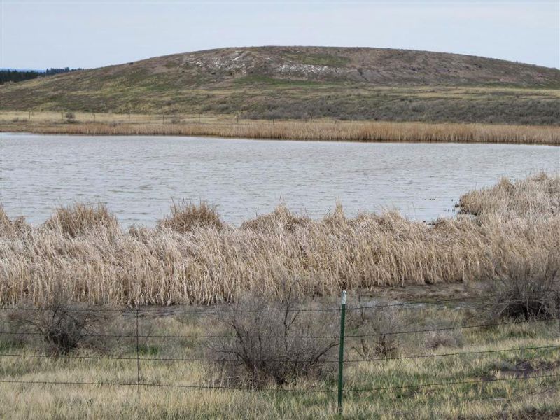 Iron Creek Ranch : Upton : Weston County : Wyoming