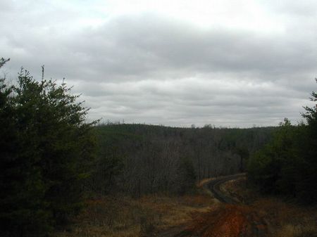 640 Acres- A Full Section : Luverne : Tuscaloosa County : Alabama