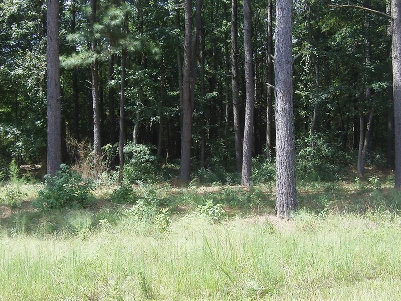 Deep Lake Farms, 30.63 Acre Lot : Shady Dale : Jasper County : Georgia