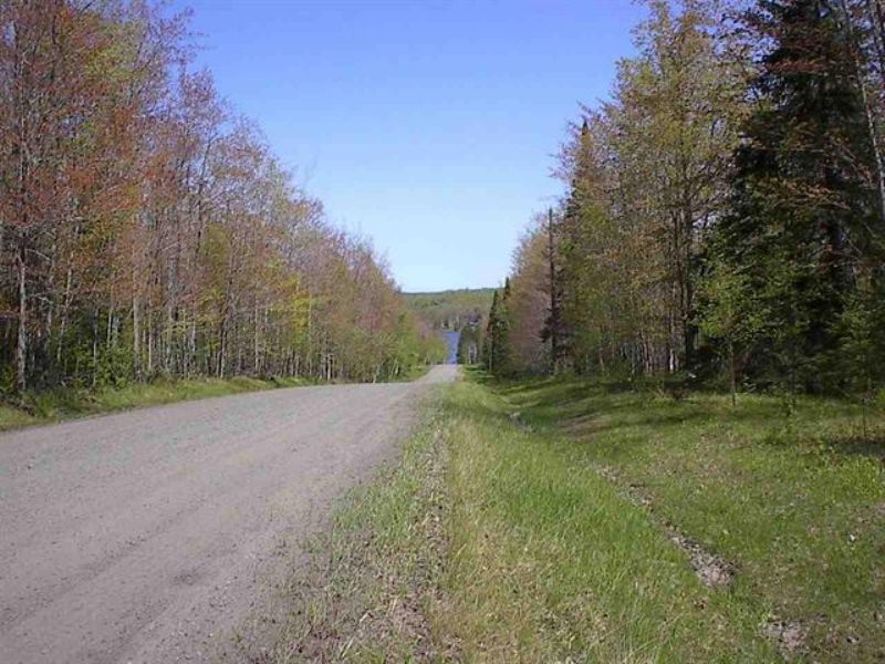Tbd Biltonen Rd, Mls 1080038 : L'Anse : Baraga County : Michigan