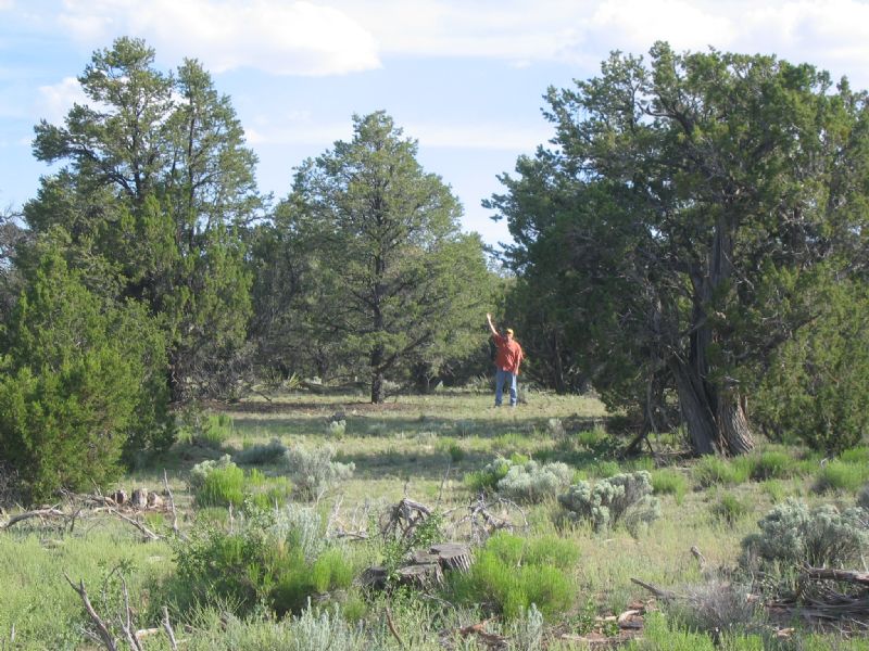 Secluded Self Sufficiency Ranch : Saint Johns : Apache County : Arizona