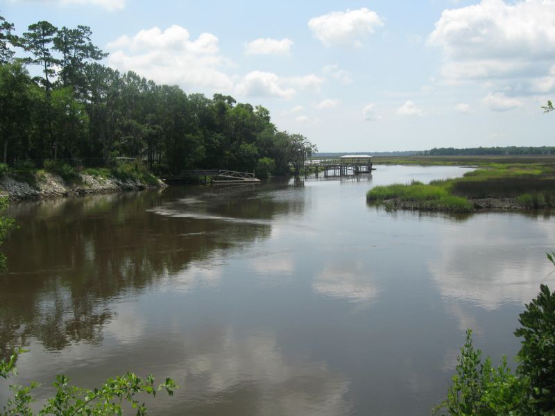 85+/- Acres High Bluff River Front : Woodbine : Camden County : Georgia