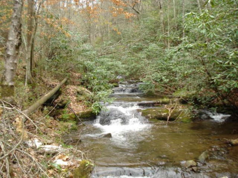 Water Fall 100 Acres Forest Service : Marble : Cherokee County : North Carolina