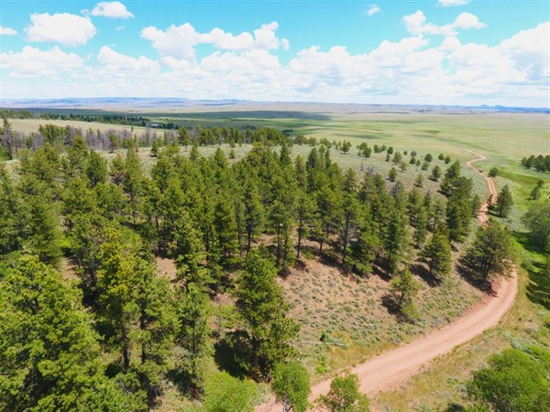 Fish Creek Ranch Homestead 7 : Tie Siding : Albany County : Wyoming