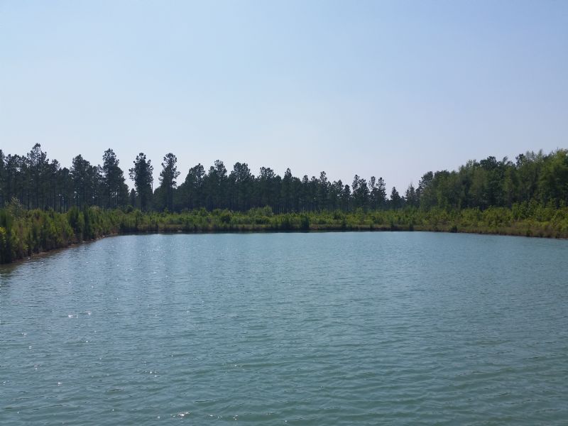 259 Ac Hunting Land With A Pond Ranch for Sale in Baxley, Appling