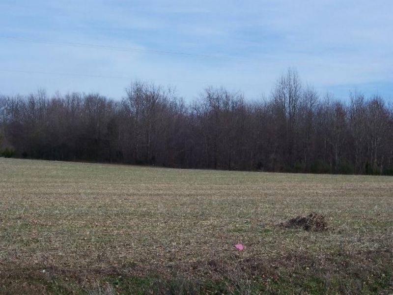 Cumberland Farm : Cumberland : Cumberland County : Virginia
