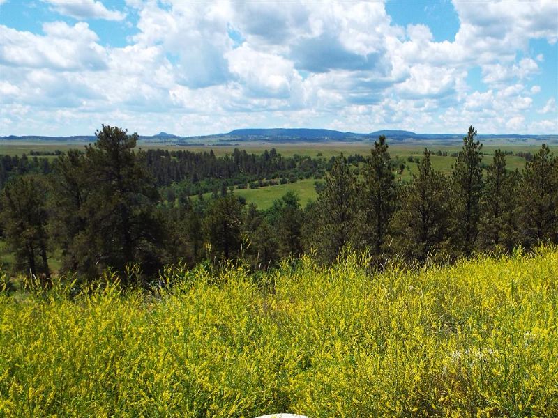 Oak Creek Ranch : Aladdin : Crook County : Wyoming