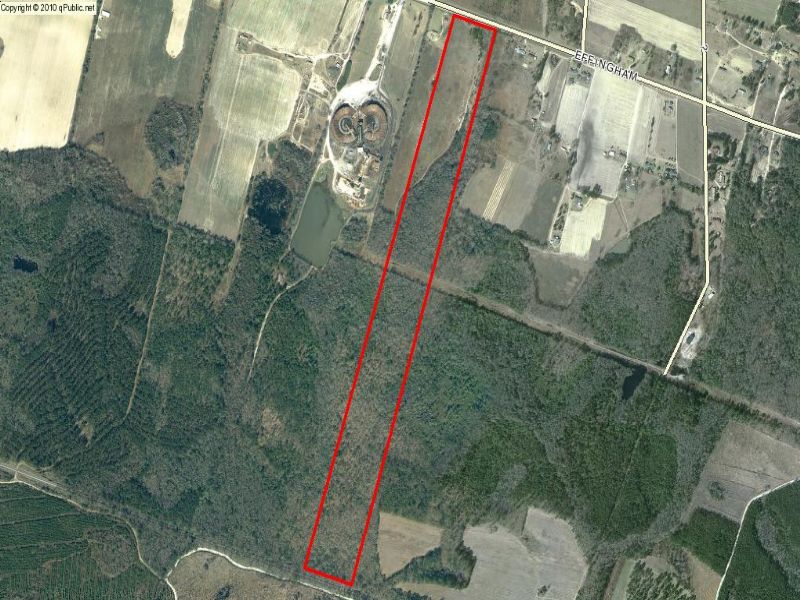 Green Acres Tract : Sylvania : Screven County : Georgia